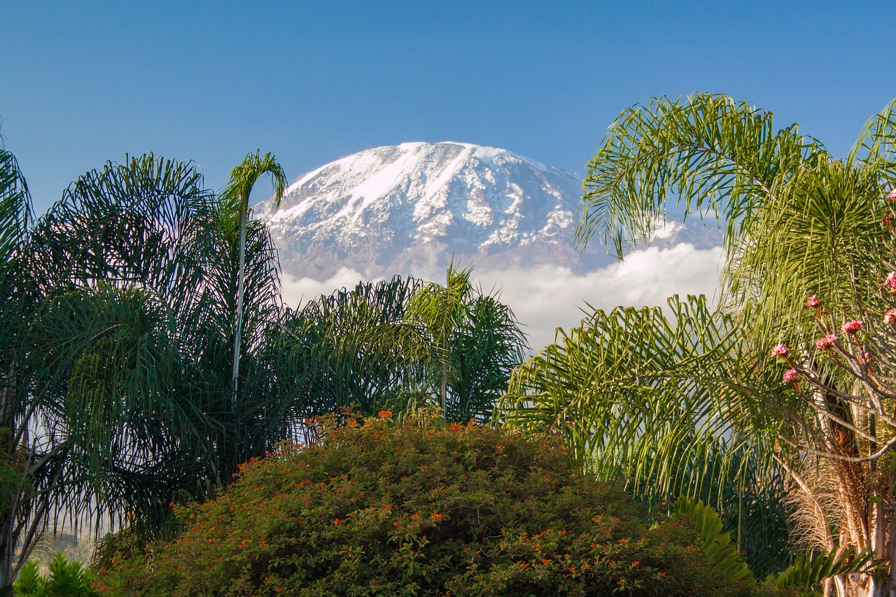 Mount Meru Trek