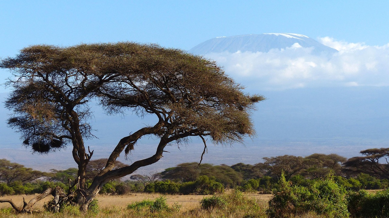 Kilimanjaro Marangu Route